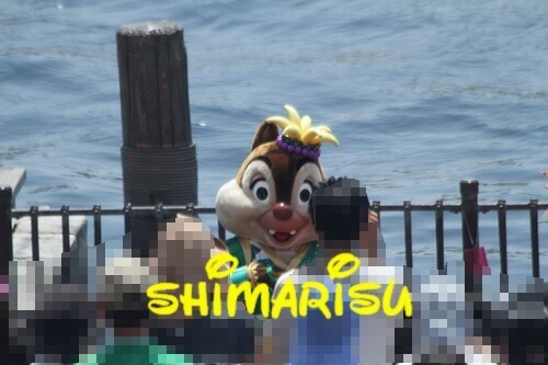 115.jpg