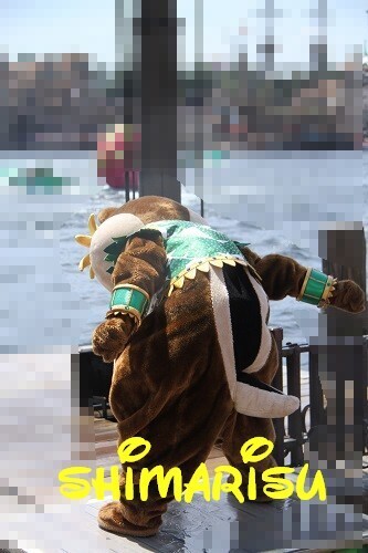 3577.jpg