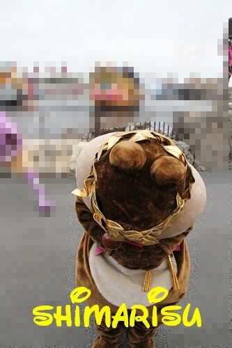 4902.jpg