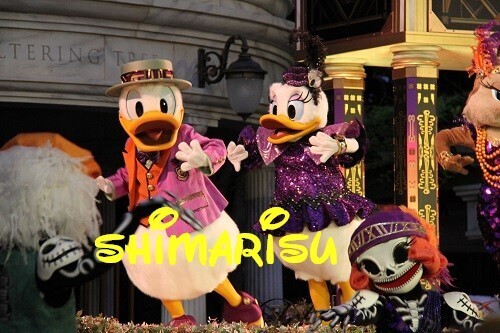 5619.jpg